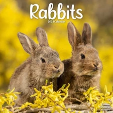 2024 Rabbits Wall Calendar