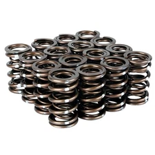 Skunk2 Pro XP Valve Springs Set for Honda K20/K24 & F20C/F22C VTEC Engine