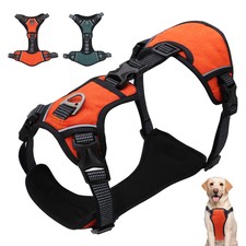 lifepul harness