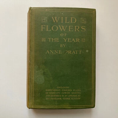 Anne Pratt - Wild Flowers of the Year - Bild 1 von 4