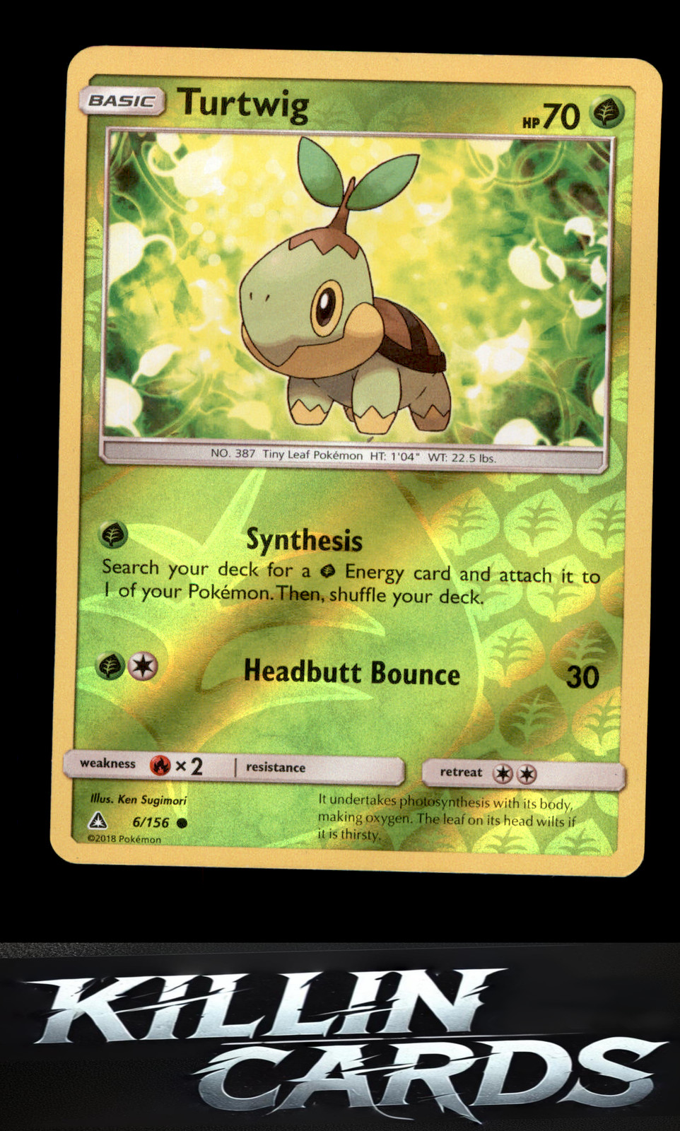 Turtwig