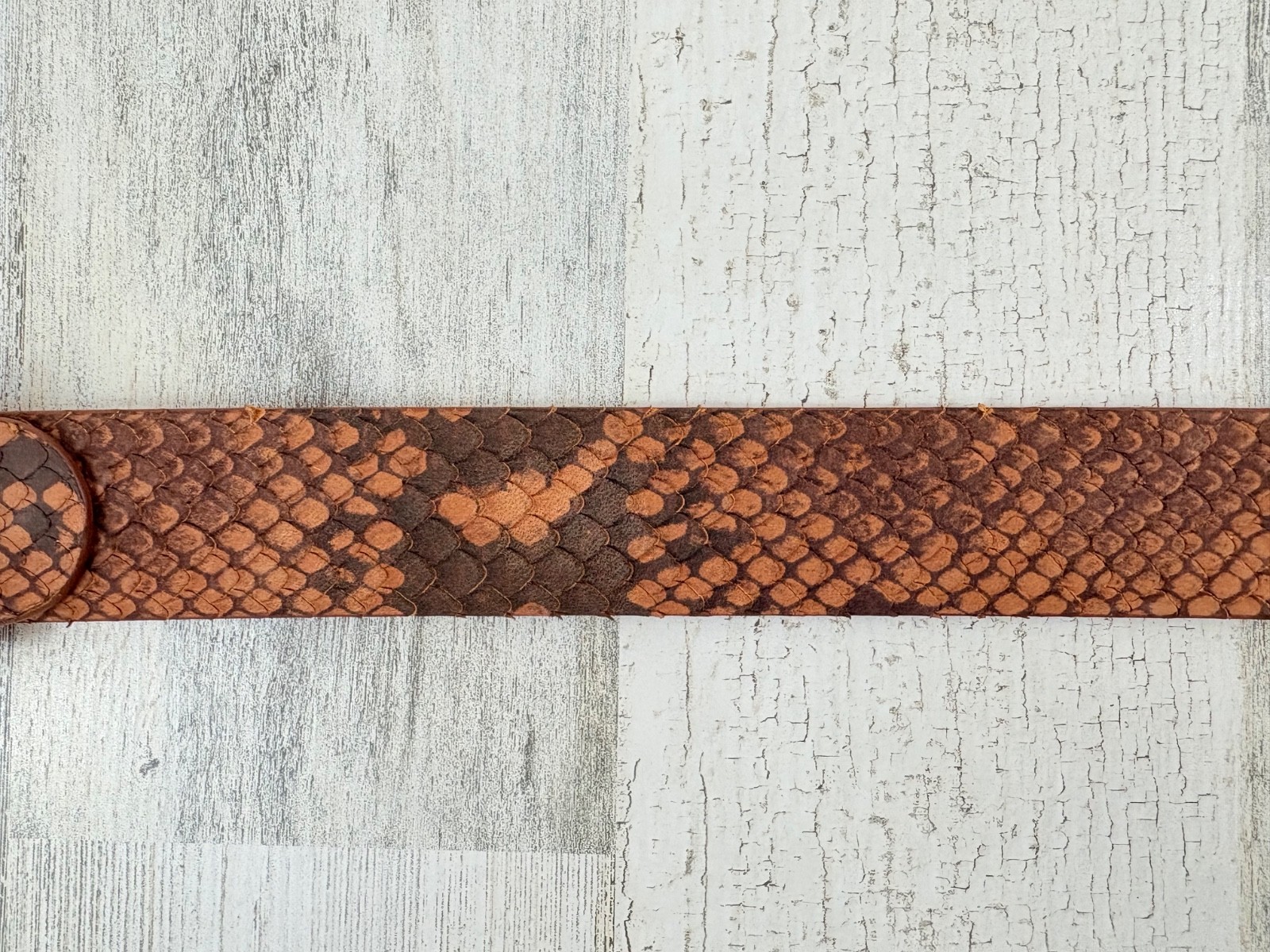 W. Kleinberg Embossed Python Snake Belt Leather W… - image 4