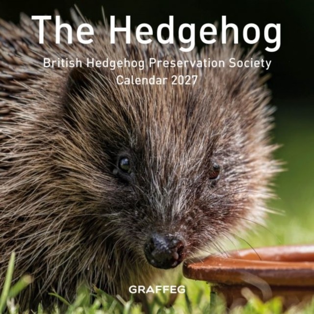 British Hedgehog Pre Calendar Hedgehog 2027 Book NEW - Image 3