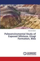 Paleoenviromental Study Of Exposed Siltstone, Enagi Formation, Bida Salami Buch