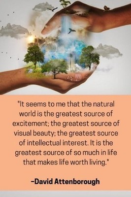 ''It seems to me that the natural world is the greatest source of excitement; th