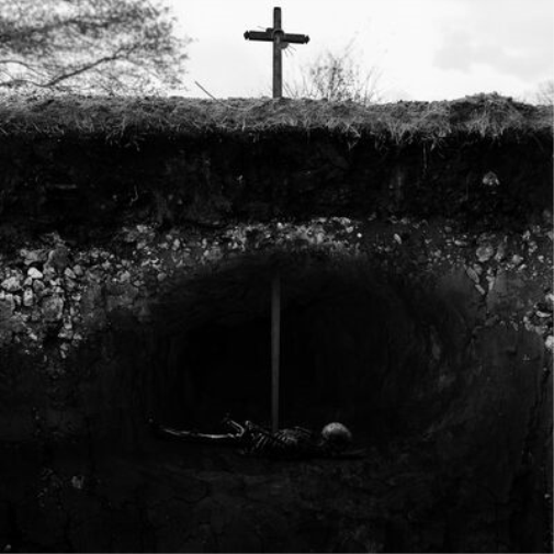 Caged From Roving About the Earth (Vinyl LP) 12" Album