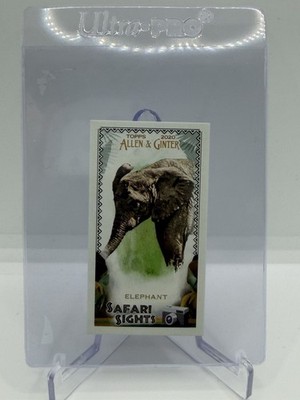 2020 Topps Allen & Ginter Safari Sights ELEPHANT #SS-1