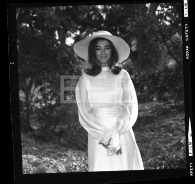 Anne Archer Movie Actress Model by Harry Langdon Negative w/rights 441E