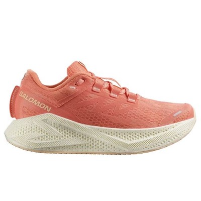 Schuhe Salomon Aero Glide 3 478107