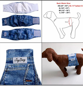 joy dog diapers