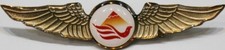 Taftan Airlines Pilot Wings # 31437