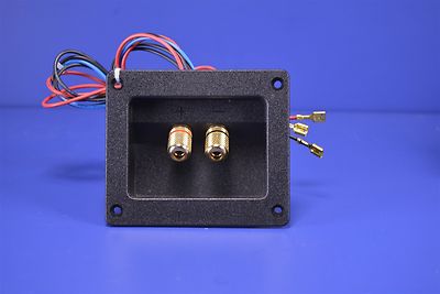 Renaissance Sound Picolo Two-Way Crossover w/ Input Jacks & Panel