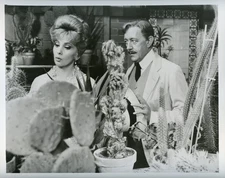 HOTEL PARADISO 8x10 b/w Press Photo / Gina Lollobrigida & Alec Guinness