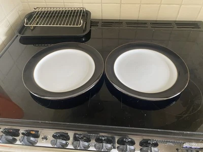 Denby Eclipse Dinner Plates X2 Brand New Handpicked Seconds.