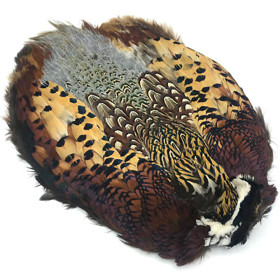 RINGNECK PHEASANT SKIN - Hareline Fly Tying Feathers Ring-Neck Pelt NEW!