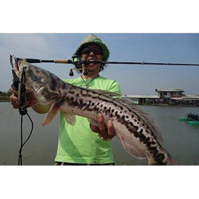 Abu Garcia World Monster WMSC-734H Baitcasting Rod for Bass | eBay