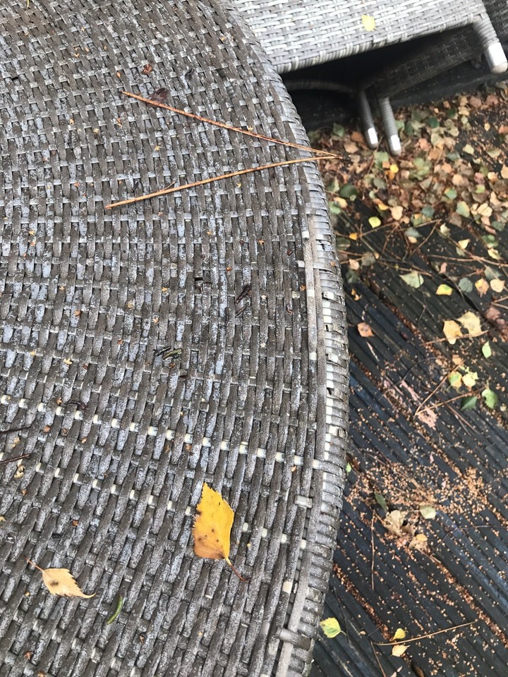 rattan garden furniture set see photos table parasol base 6 chairs eBay