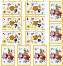12 Pcs Brass Glass Hanging Frame Pressed Flowers Glass 4 X 6 Inch Hanging Displa