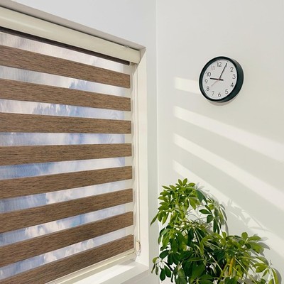 Zebra Blinds for Indoor Window Roller, Zebra Shades for Windows  Light Filtering