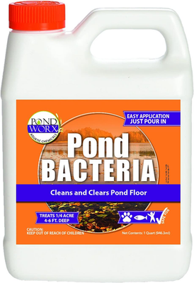 #ad PondWorx 32oz Pond Bacteria Concentrated for Large Ponds Water Feature $30.56