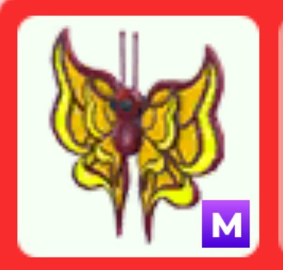 Cheap Adopt Me Mega Amber Butterfly (virtual butterfly mega neon pet)