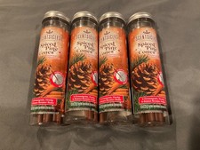  4 Packs Scentsicles Scented Ornaments Spiced Pine Cones 2025 