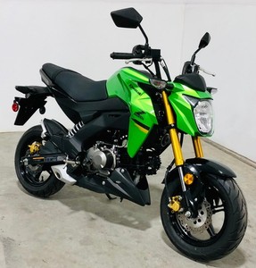 2025 Kawasaki Z125 PRO 