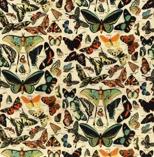 Free Spirit - Palette Teal By Tim Holtz - Butterflies - Teal, Fabric by the Yard