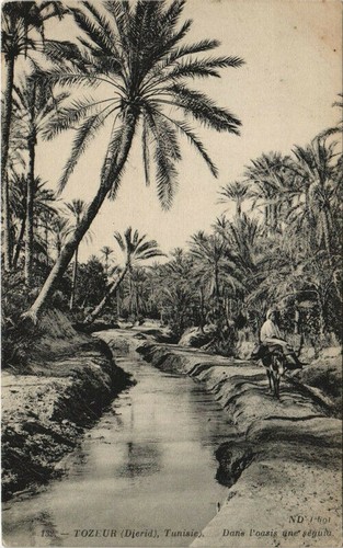 CPA AK TUNISIE TOZEUR - Dans l'Oasis une seguia (133940) - 第 1/2 張圖片