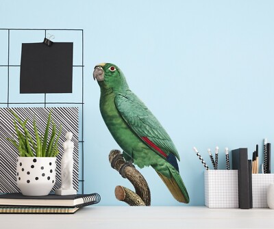 3D Fat Parrot A294 Animal Wallpaper Mural Poster Wall Stickers Decal Zoe