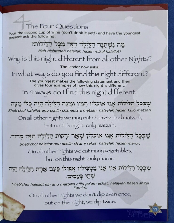 LARGE PRINT EDITION 6 New 30 Minute Passover Seder Haggadah