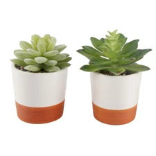 Flora Bunda Artificial Plant in 3 in 2-Tone Ceramic Color Block Pot,Set of 2