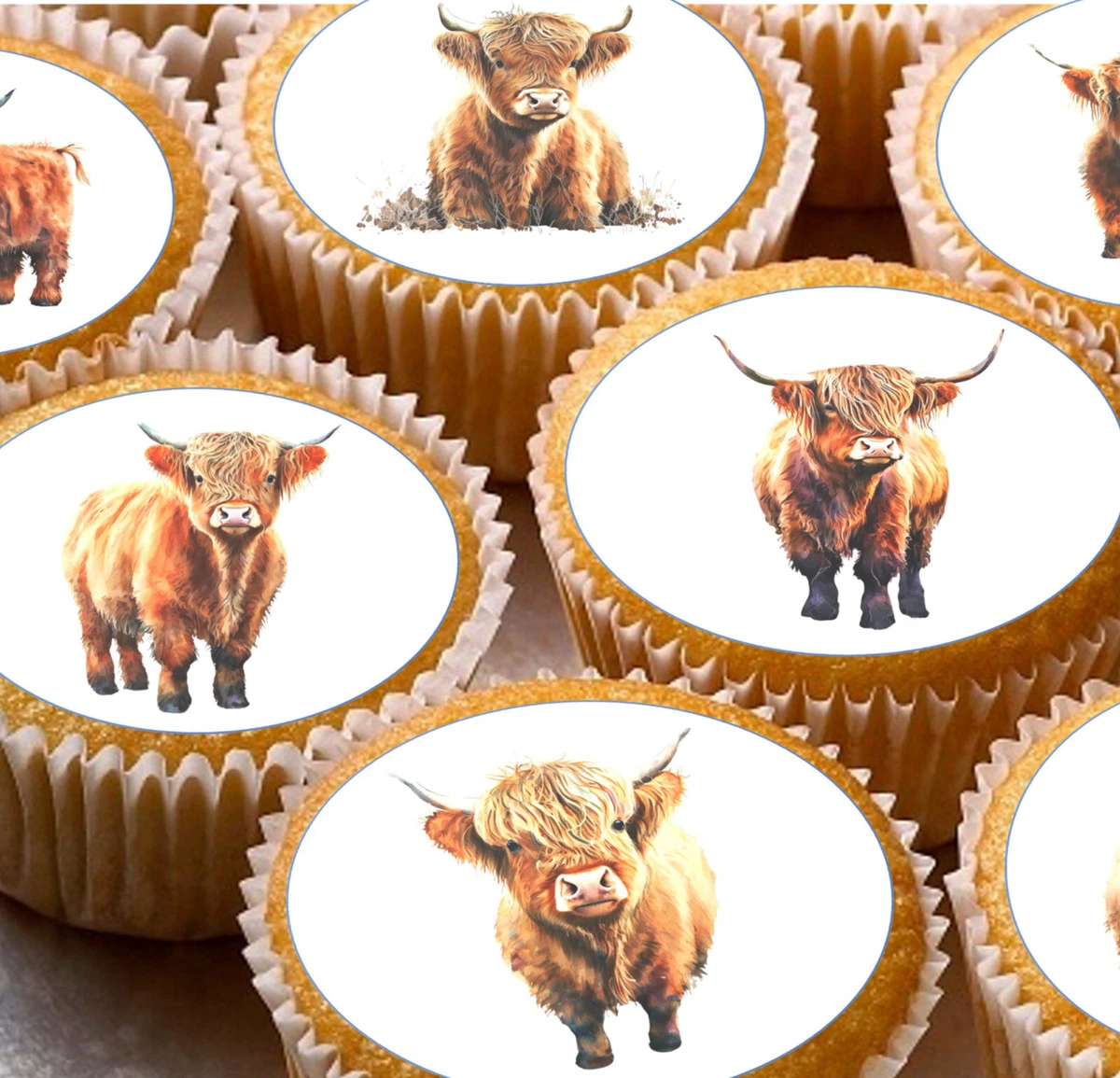 24 Pre-Cut Highland Cow Cows Edible Wafer Paper Cupcake Topper