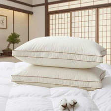2PCS 50% Goose Down Fill Bed Pillow, 100% Organic Cotton Shell 300TC, Japan Made