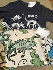 Lot Of 2 H&M Boys Dinosaur Set 2 Pc Shirt & Shorts And A Dinosaur Shirt Size 5T