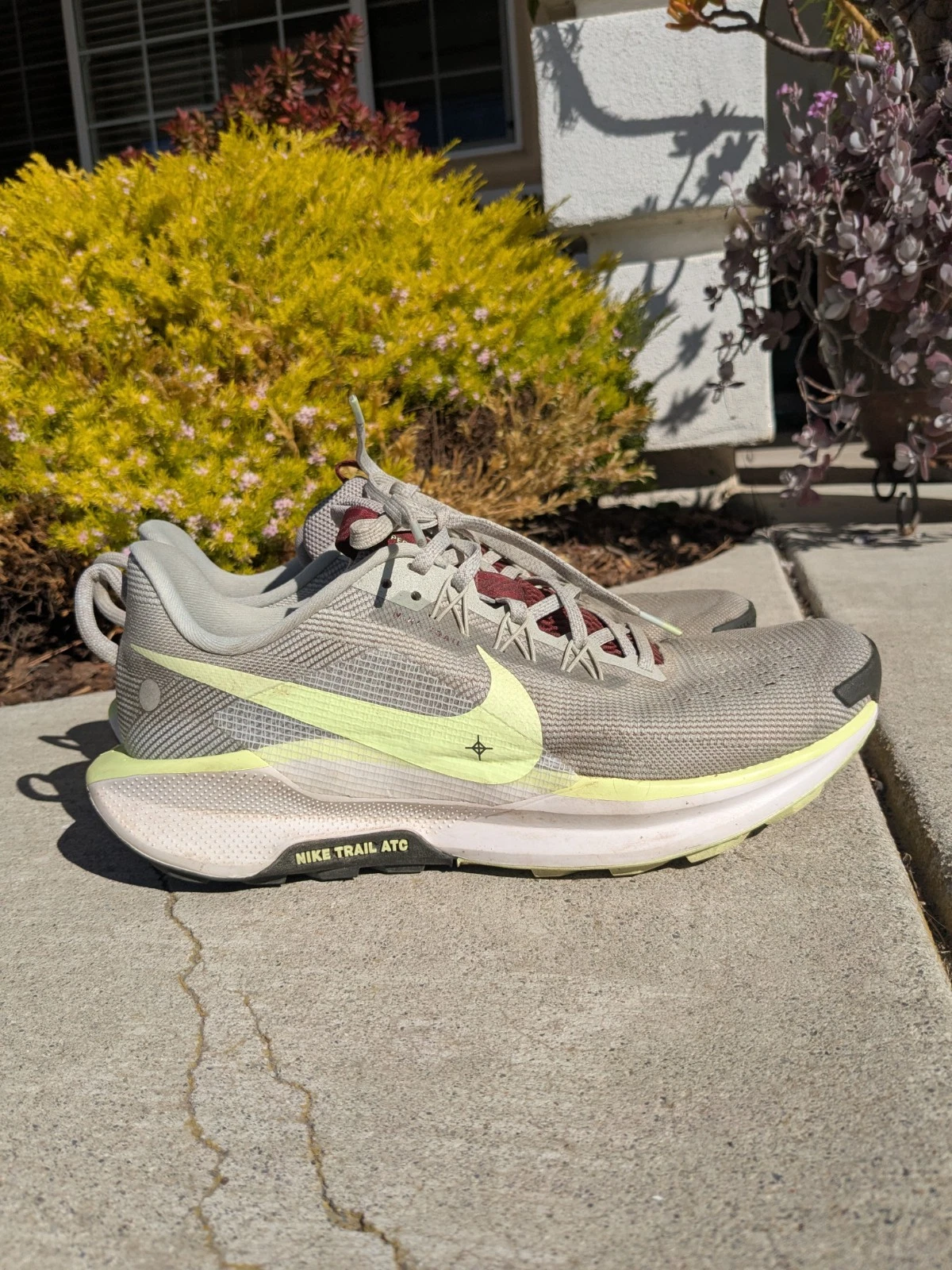 Nike Trail Pegasus 5