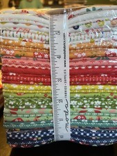 Raspberry Summer By Sherri & Chelsi For Moda Bundle Of 34 Fat Quarters