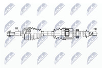 NTY NPW-RE-203
