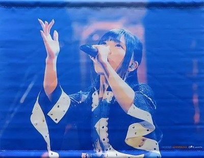 Aina Suzuki A3 Tapestry - 1st Live Tour Ring A Ring BLU-ray Item