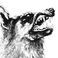 Crippled Black Phoen - I Vigilante - Cd - 70 - E4Z