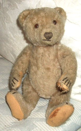 Mein eigner Steiff Teddy von 1951 - 20 cm - "Paul" und muß mich jetzt verlassen