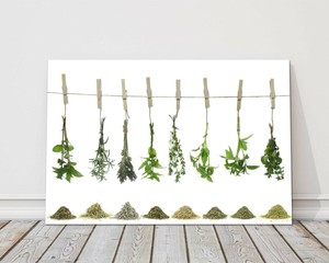 Kitchen Herbs Hanging On A Line Green Canvas Print Framed Picture Wall Art Ebay