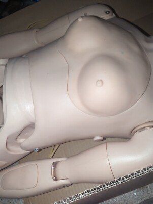 Patient Care Manikin Model Multifunctional Nurse Training Mannequin Male Female