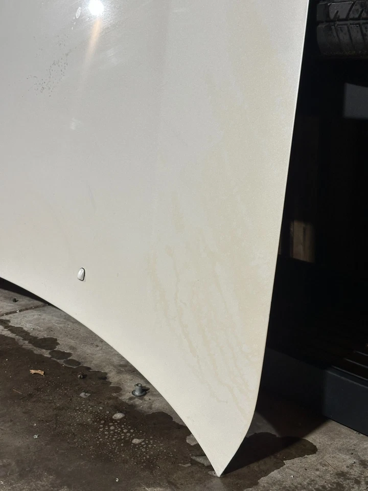 Lexus LS400, Hood Panel, 1990-1994, White-046, 53301-50010, Nice, OEM - Image 4 of 4