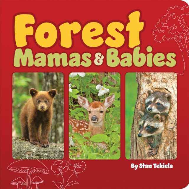 Forest Mamas and Babies by Stan Tekiela 9781647553579