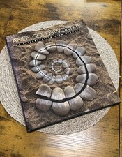 Andy Goldsworthy : A Collaboration with Nature by Andy Goldsworthy