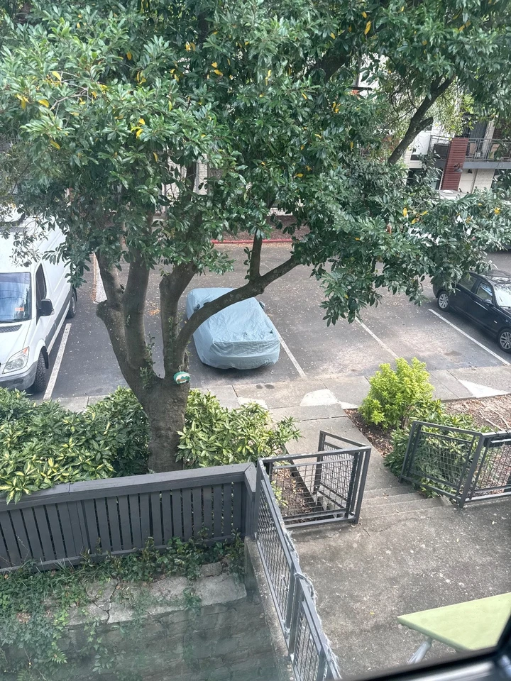 Fiat 124 Spider Cover King Mosom Plus™ 2017-2020 cubierta de auto personalizada Foto 2 de 4