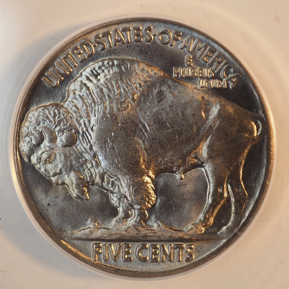 1920 *P* Buffalo Nickel *ANACS MS 65* - FREE SHIP! G1074 - Image 2 of 4