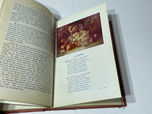 Germania Kalender 1912 1st Ed German Calendar Almanac - Picture 15 of 17