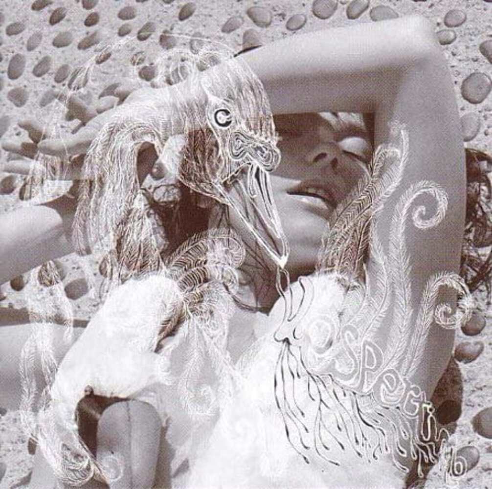 Björk Vespertine SACD Hybrid 国内盤 直輸入盤仕様 Björk Vespertine SACD Hybrid 国内盤 直輸入盤仕様 - メルカリ